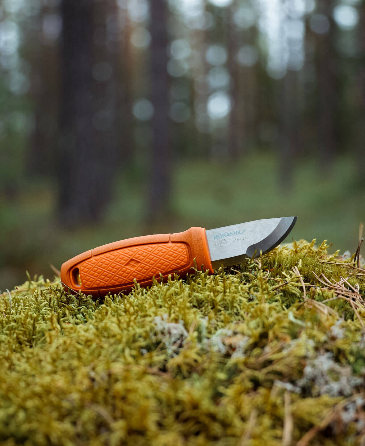 Eldris_S_Orange_Skog_Page.jpg