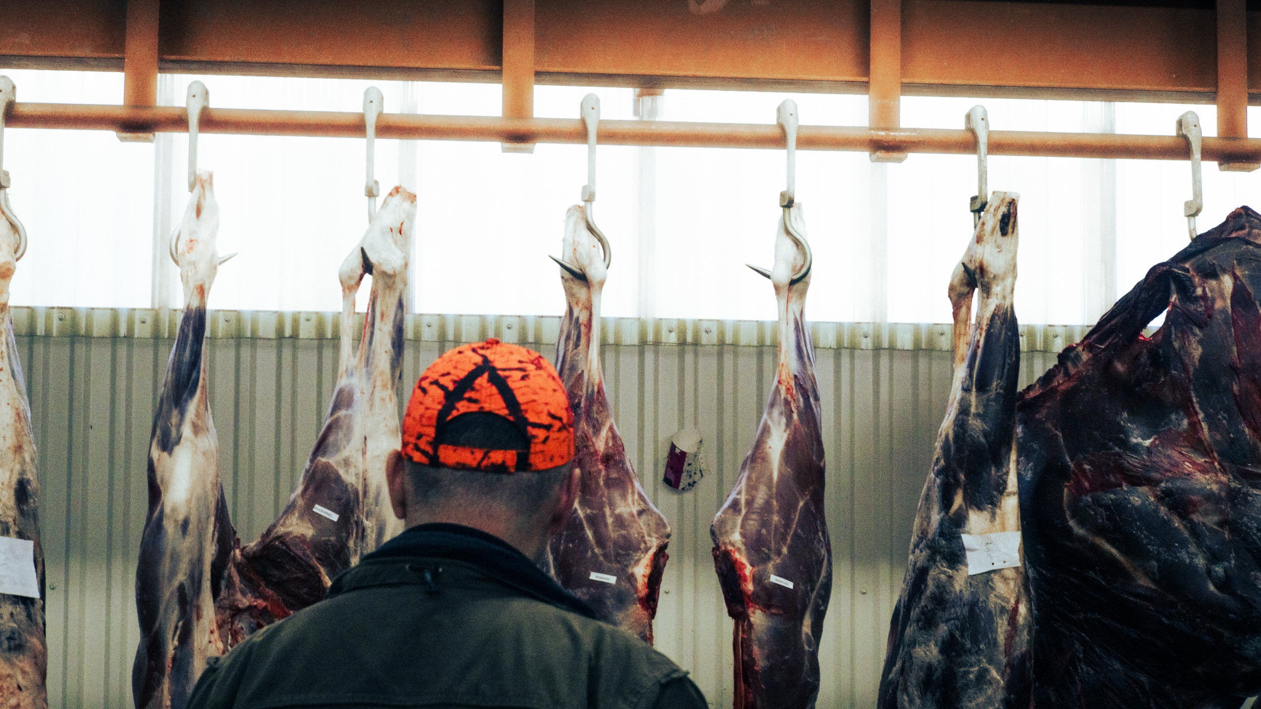 Hunting_Meat_Lifestyle.jpg