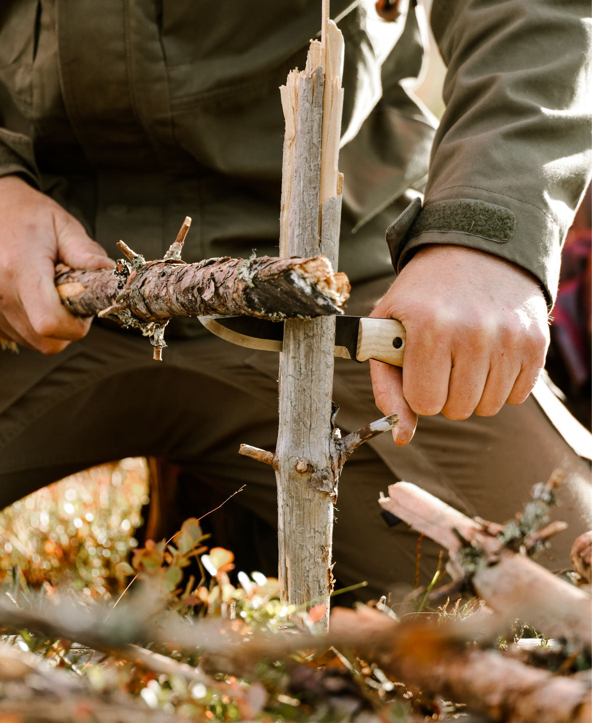 Lok_BB_S_Ash_Wood_Tree_Splitting_Page.jpg