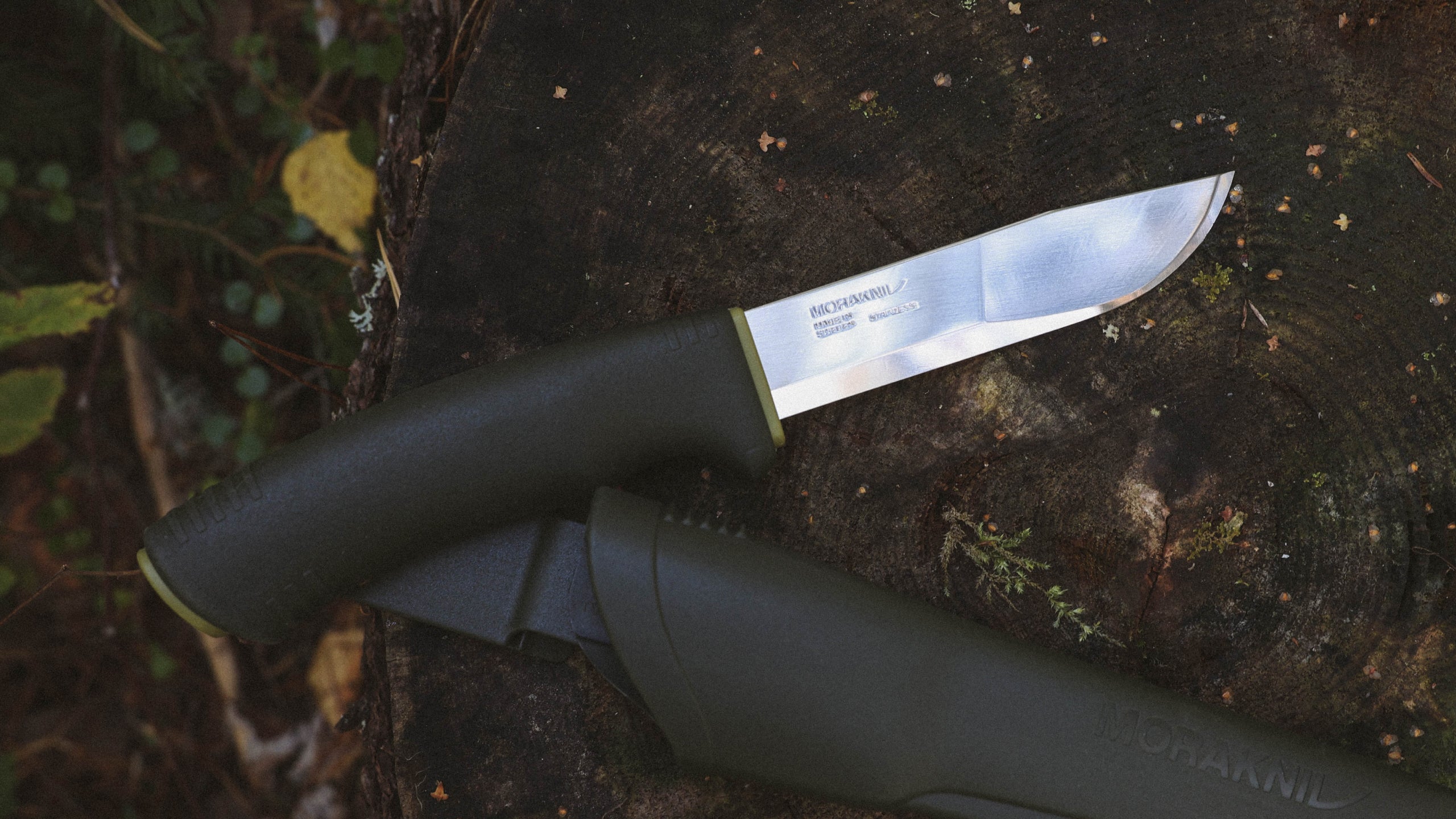Bushcraft_Forest_S_Lifestyle_2.jpg