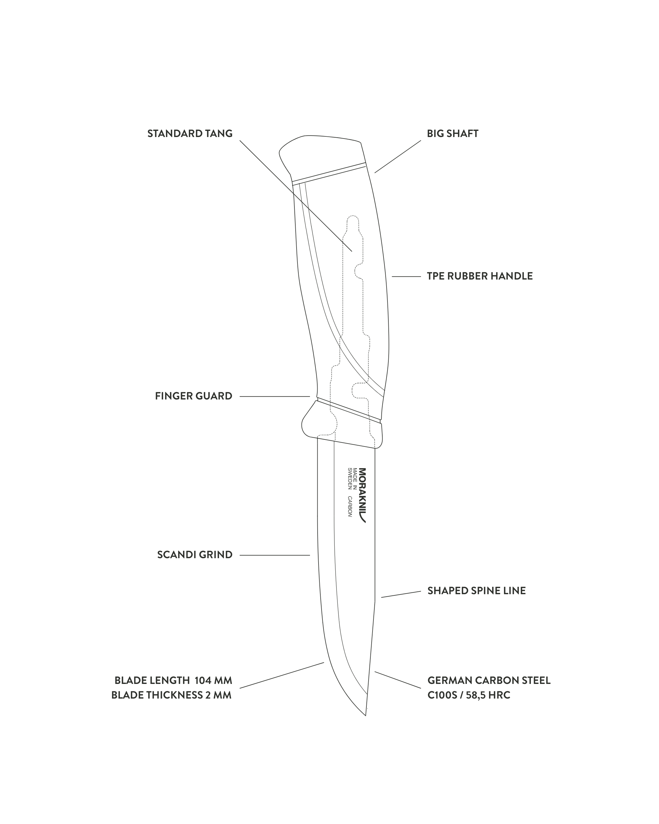 COMPANION_C_17d5bcfb-c273-447a-8af3-0a1abcdab6b0.png