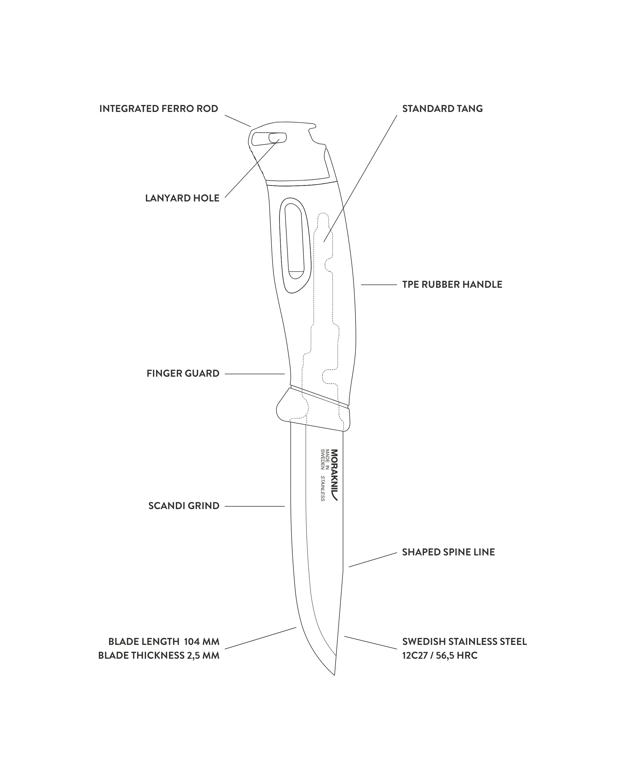 COMPANION_SPARK_S_289317a5-00b1-4628-a106-594f4d0a354e.png