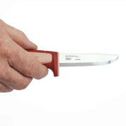 A hand holding Basic 511 Color of the Year 2026 (C)