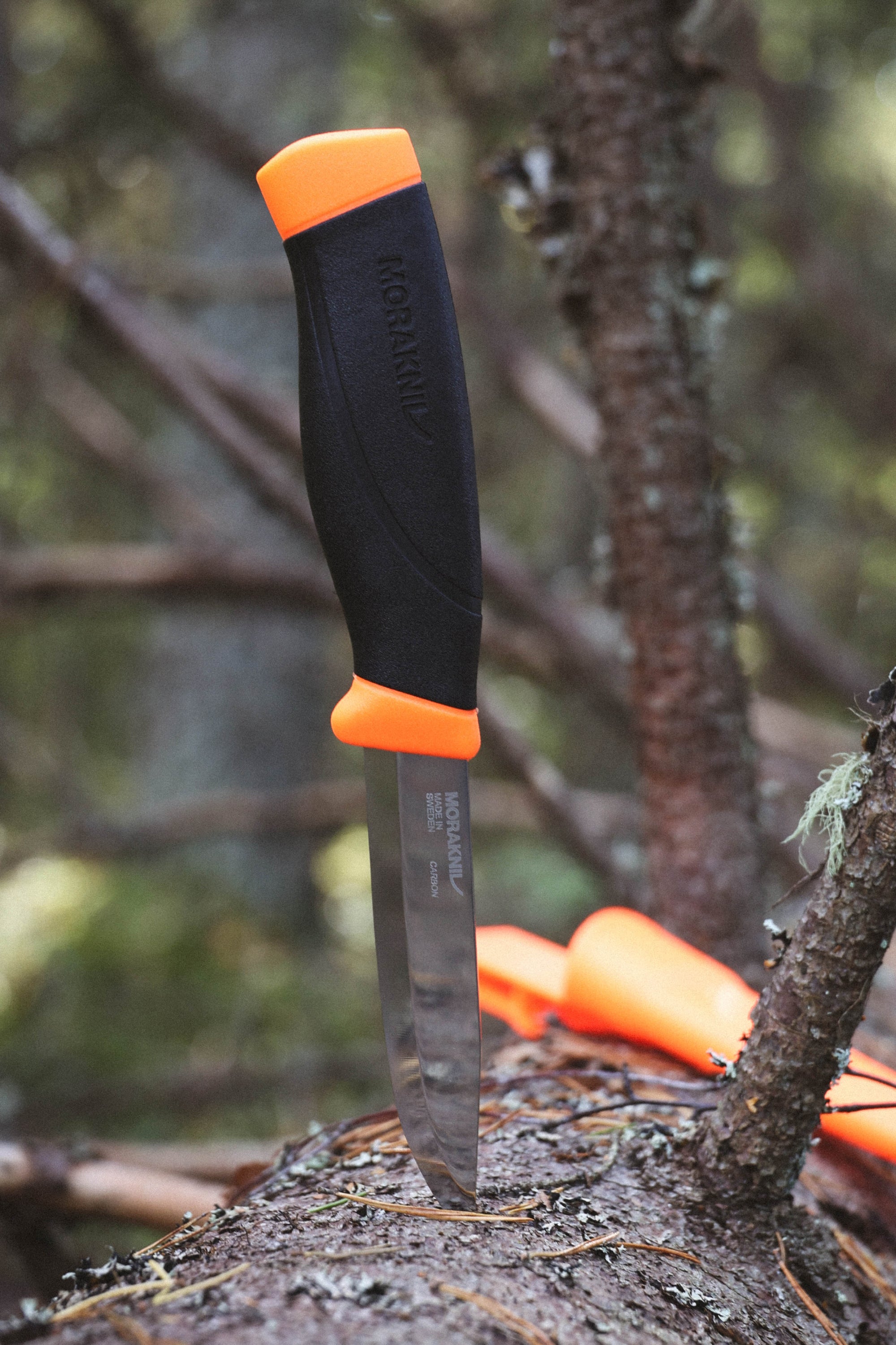 Companion_HD_C_Orange_Lifestyle_2_3.jpg