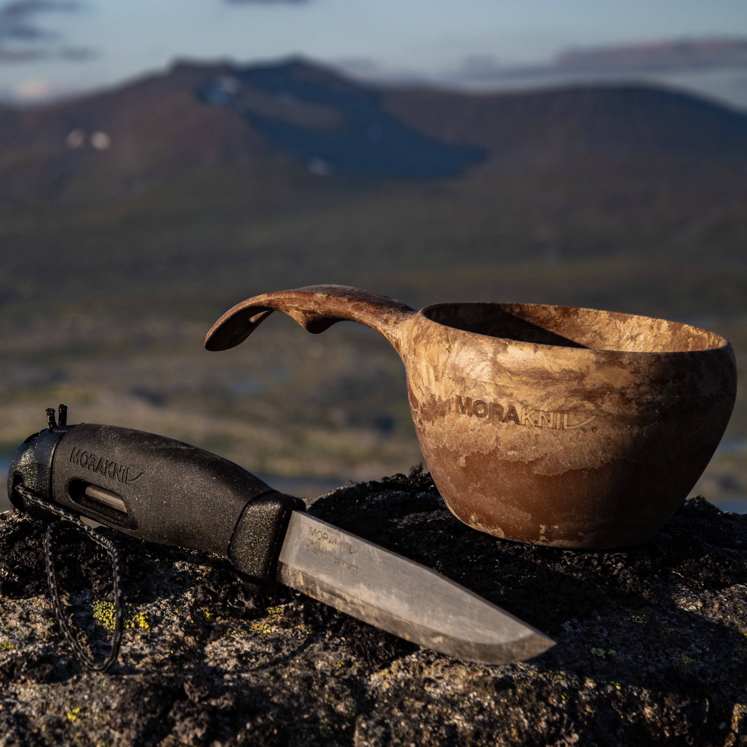 Companion_Spark_S_Svart_Fjall.jpg