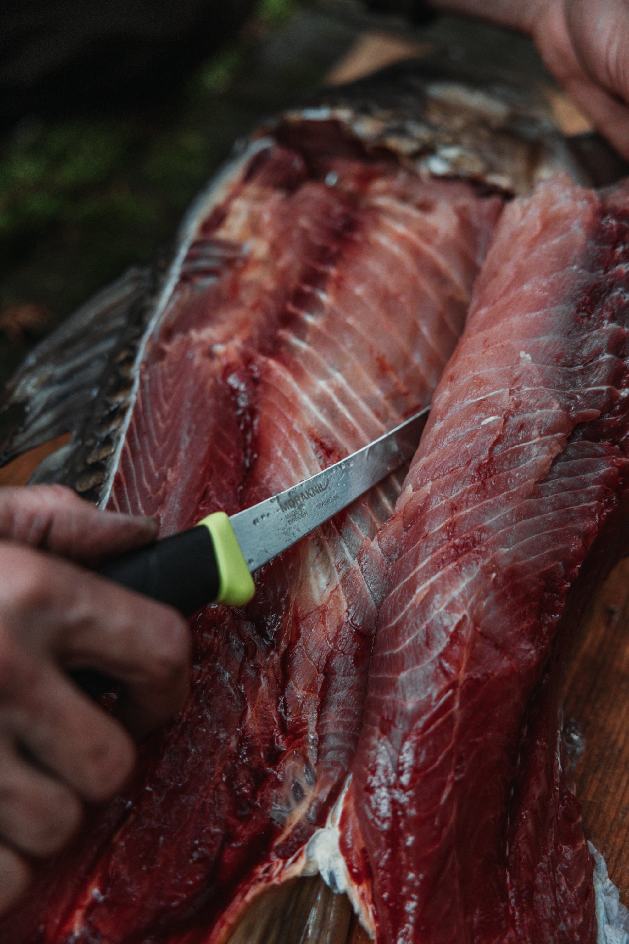 Fishing_Fillet_155_Lifestyle_2_3.jpg