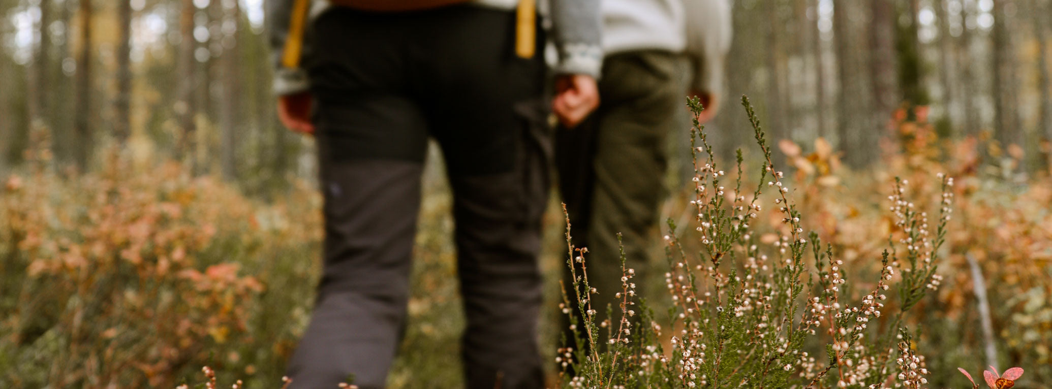 Hiking_Forest_Page.jpg