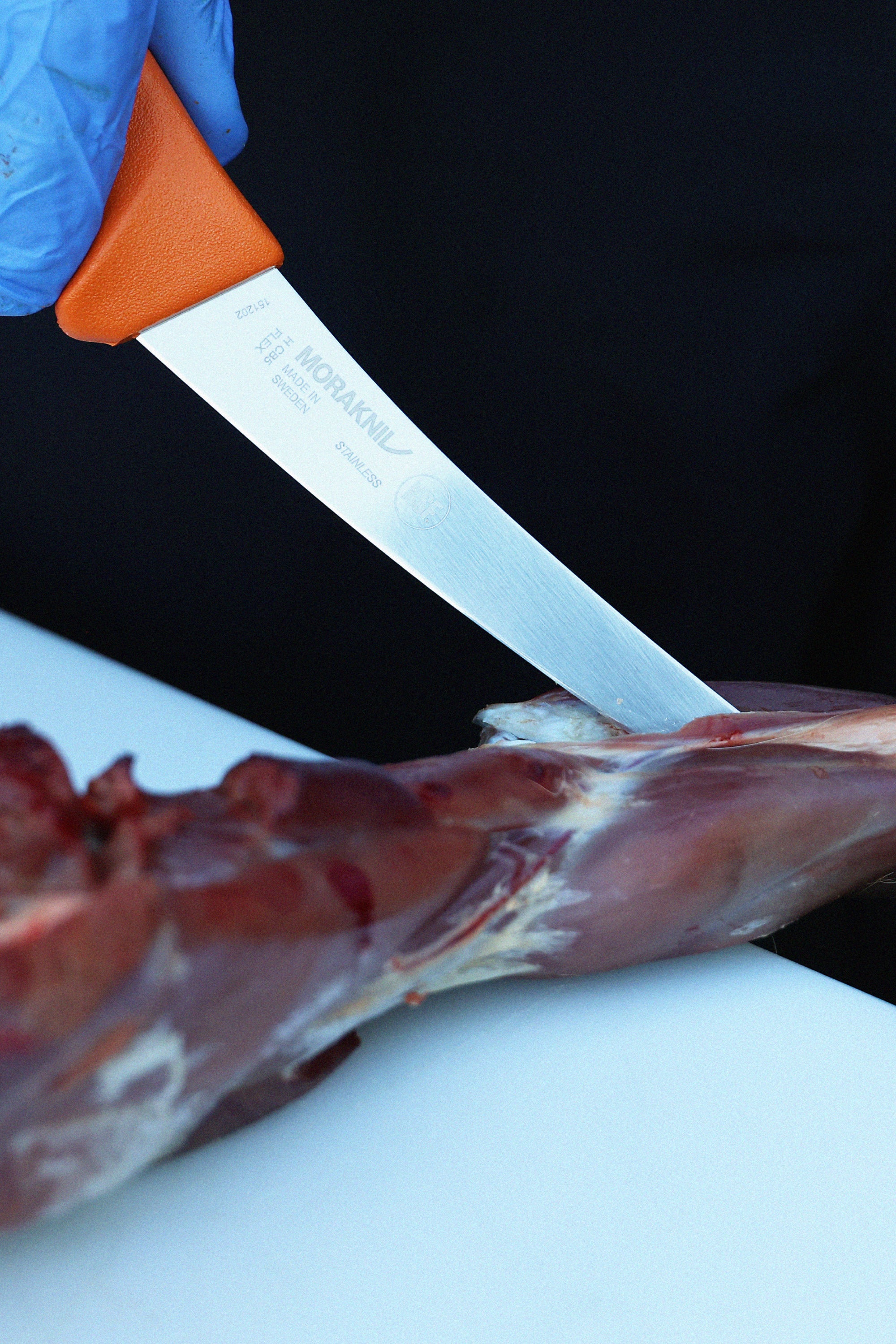 Hunting_Curved_Knife_Lifestyle_2_3.jpg