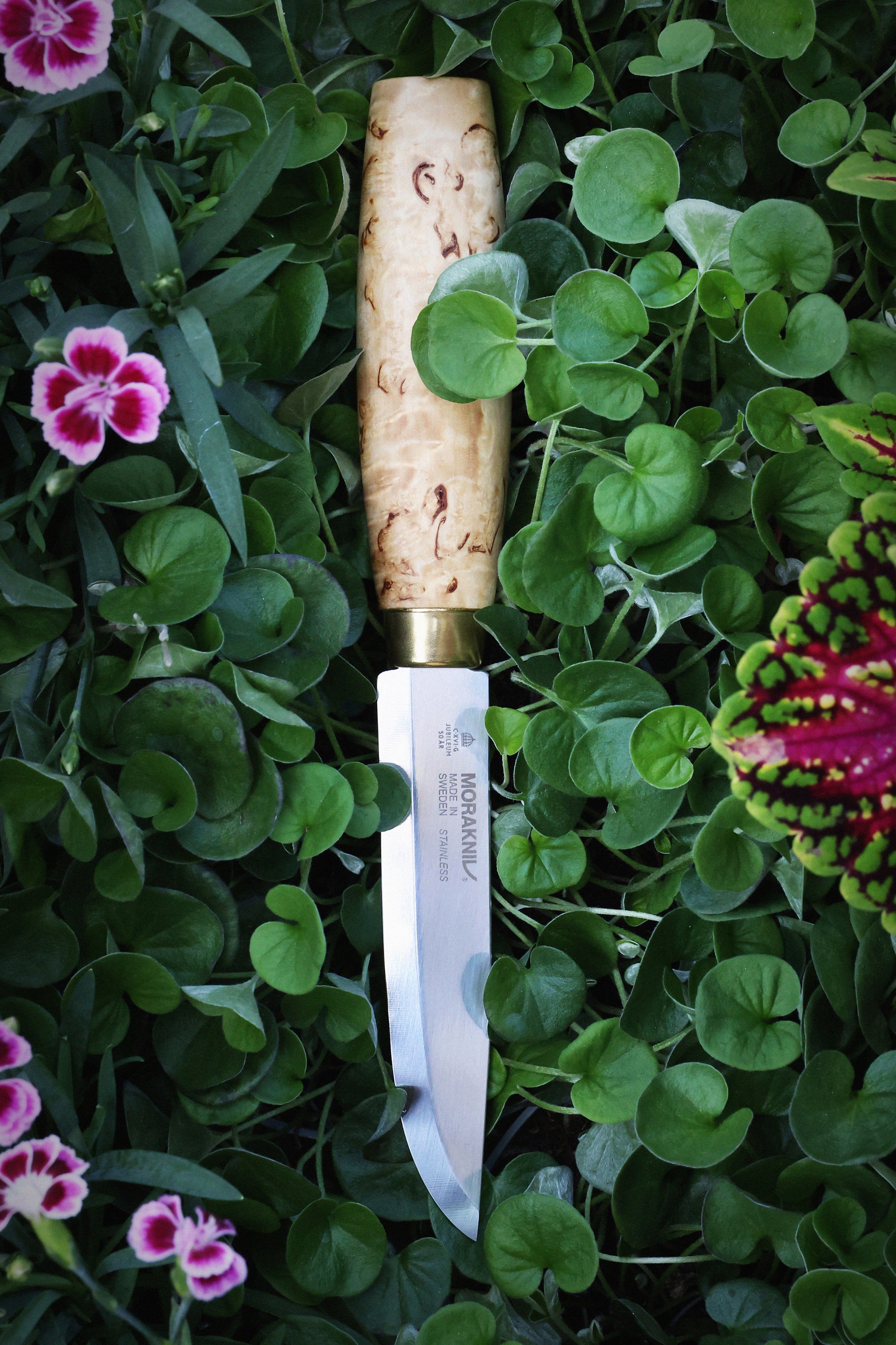 Kings_Knife_Lifestyle.jpg